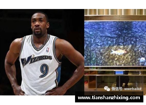 尊龙凯时NBA球员涉嫌嫖娼：揭秘体育界内的伦理与道德挑战 - 副本