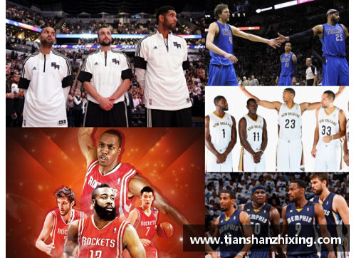 NBA西南赛区球队介绍：激情与实力的碰撞
