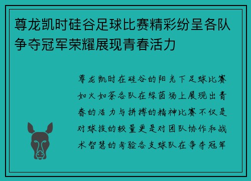 尊龙凯时硅谷足球比赛精彩纷呈各队争夺冠军荣耀展现青春活力