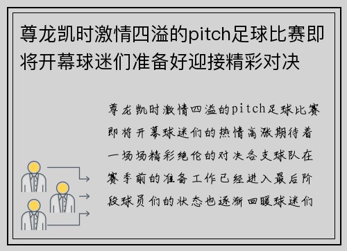 尊龙凯时激情四溢的pitch足球比赛即将开幕球迷们准备好迎接精彩对决