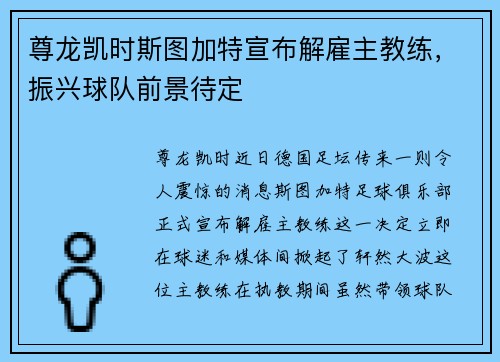 尊龙凯时斯图加特宣布解雇主教练，振兴球队前景待定